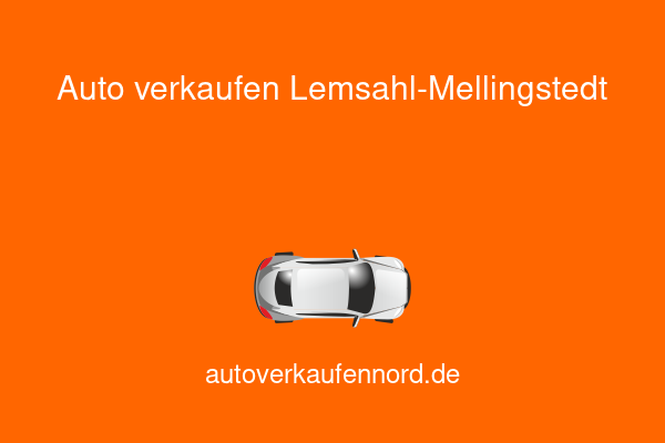 Auto verkaufen Lemsahl-Mellingstedt